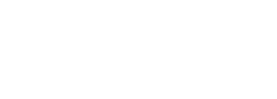 FIPAV Federazione italiana pallavolo