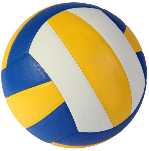 Volleyball Pallavolo Argenta